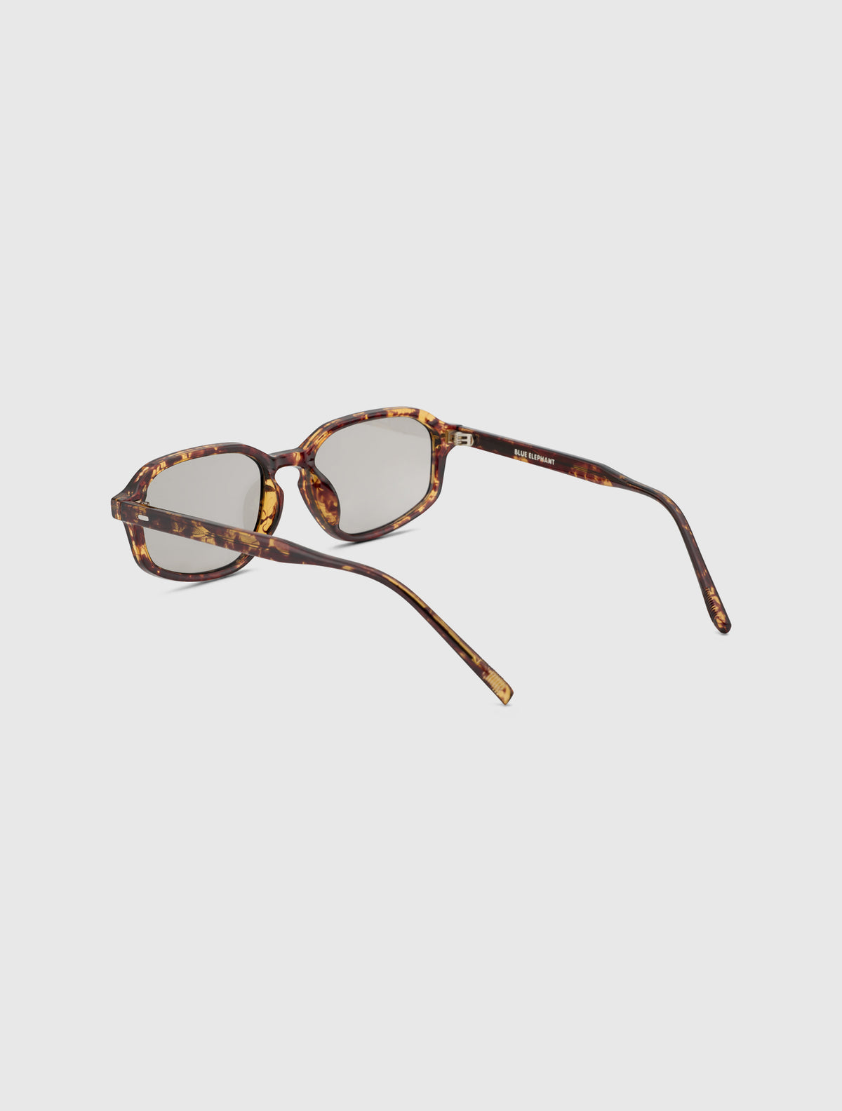 NOLAN-S leopard
