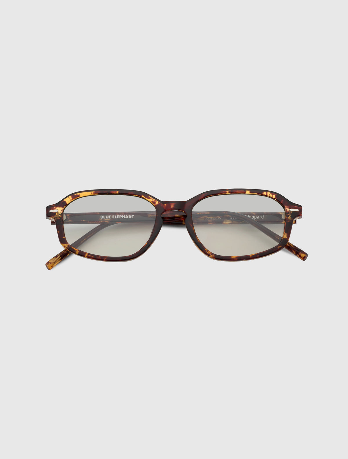 NOLAN-S leopard
