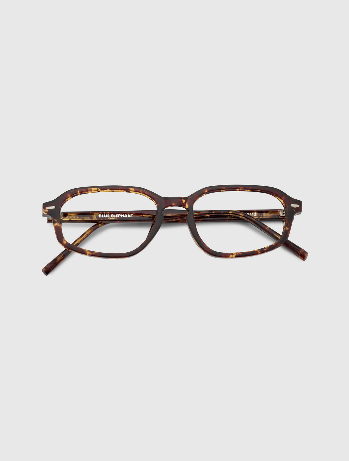 NOLAN leopard