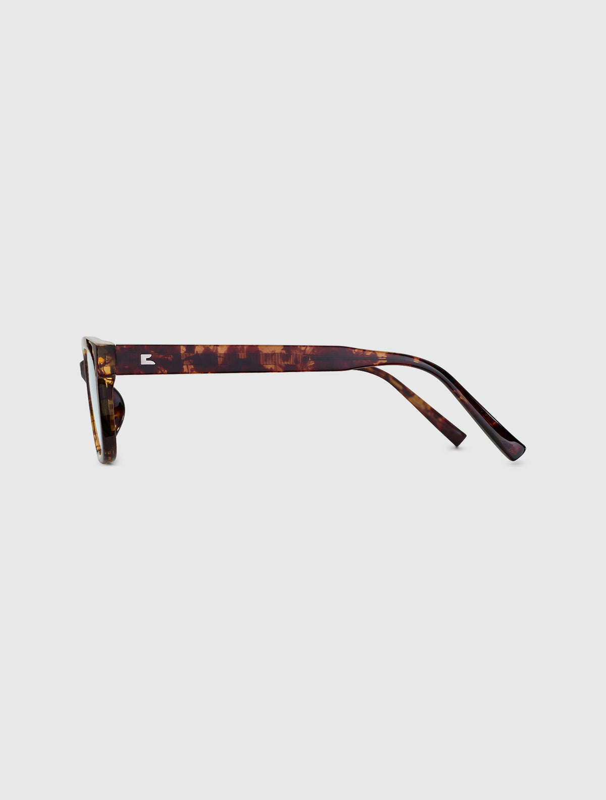 NOUS-S leopard