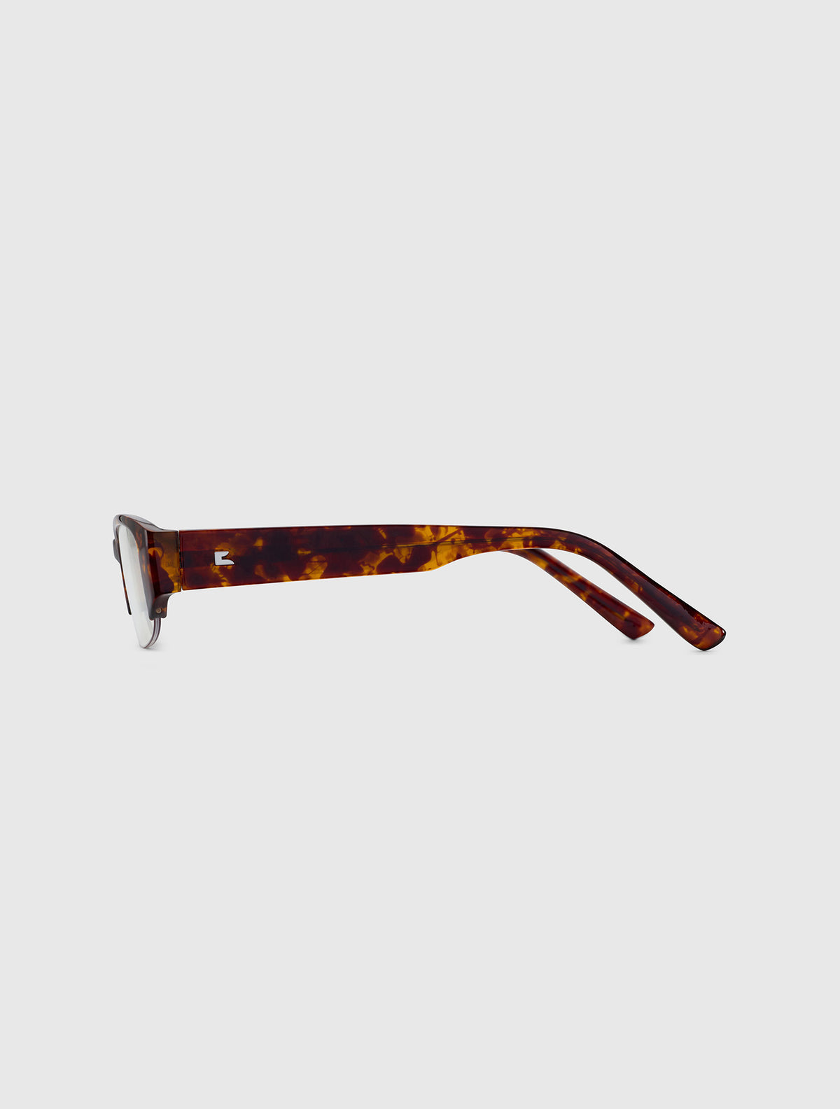RISA leopard
