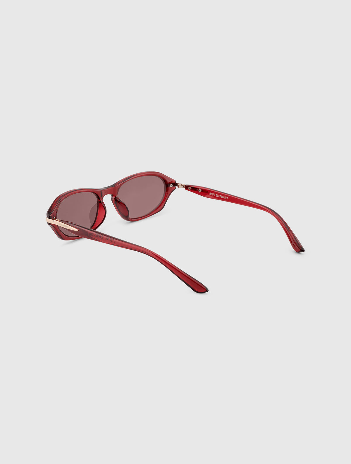 SASHA-S red wine