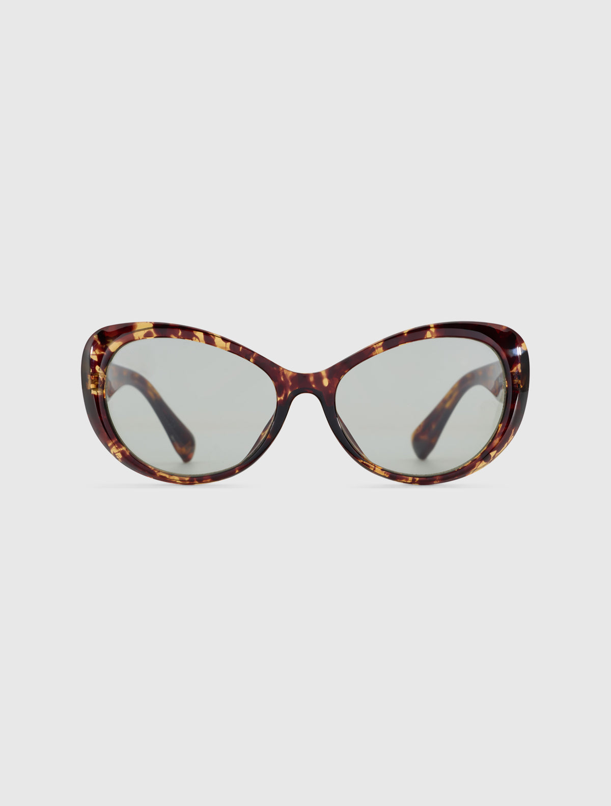 SLAM leopard