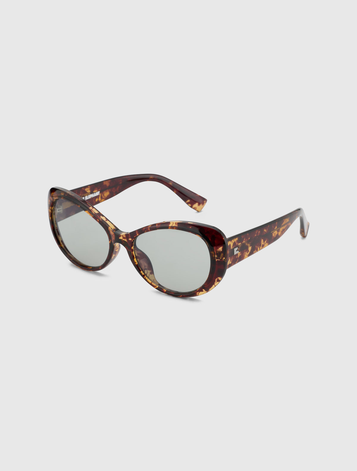 SLAM leopard