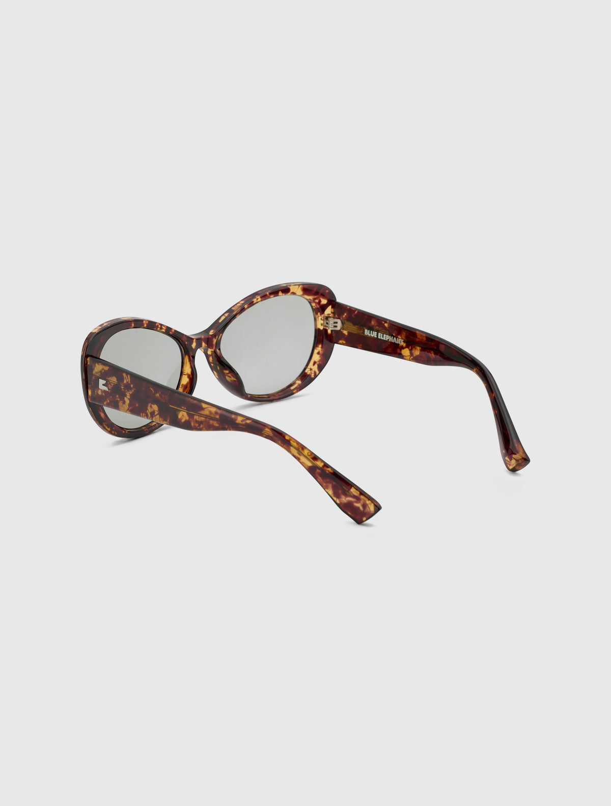 SLAM leopard
