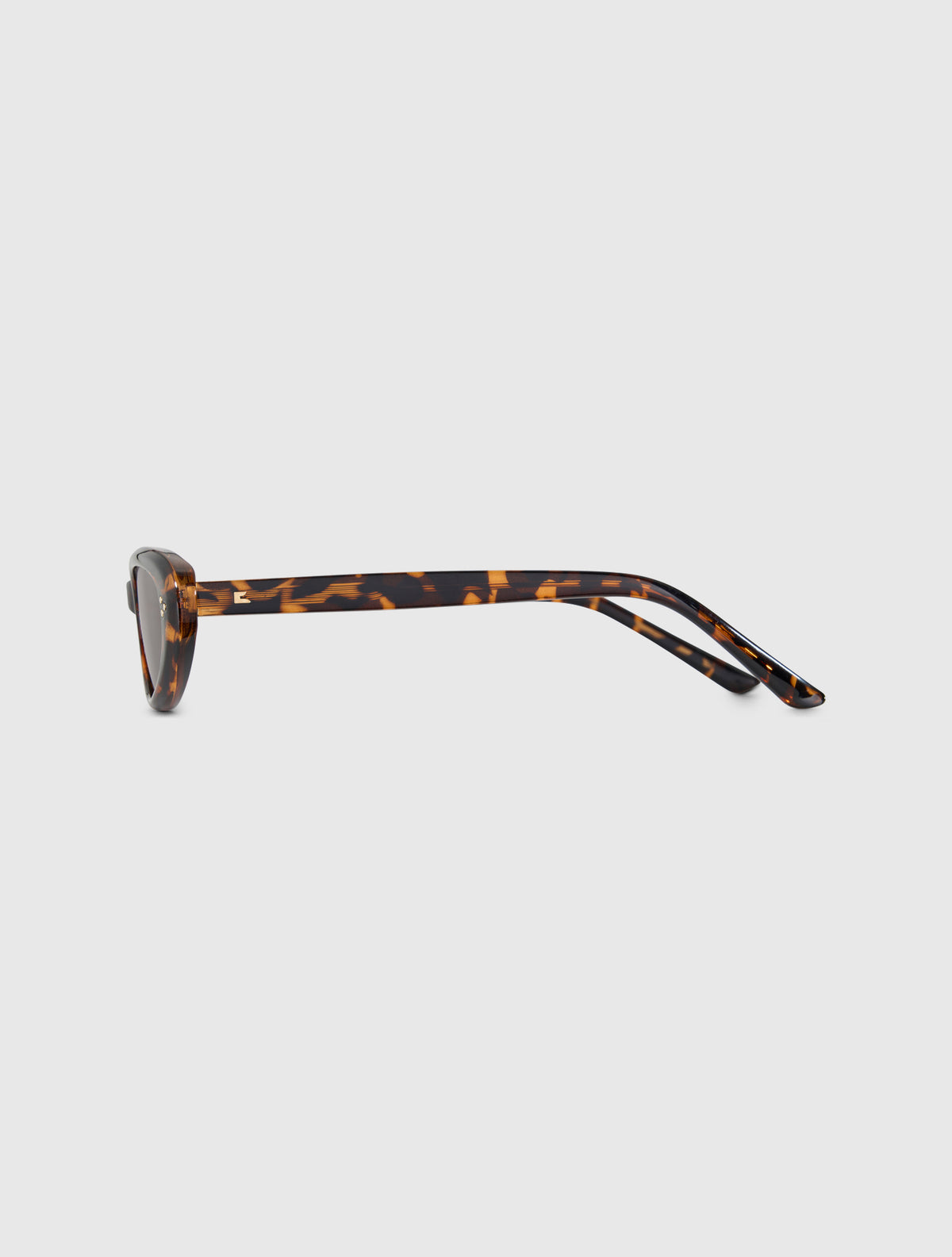 SLEN leopard