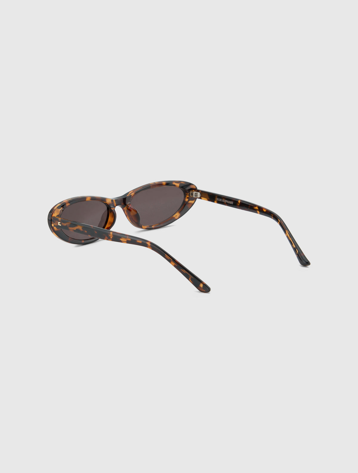SLEN leopard