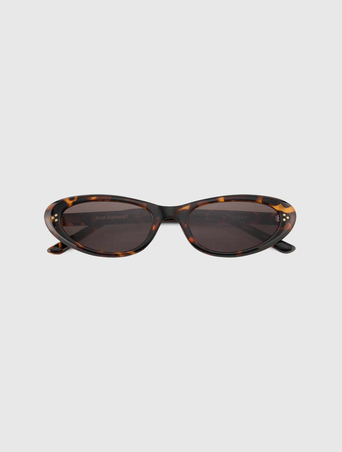 SLEN leopard