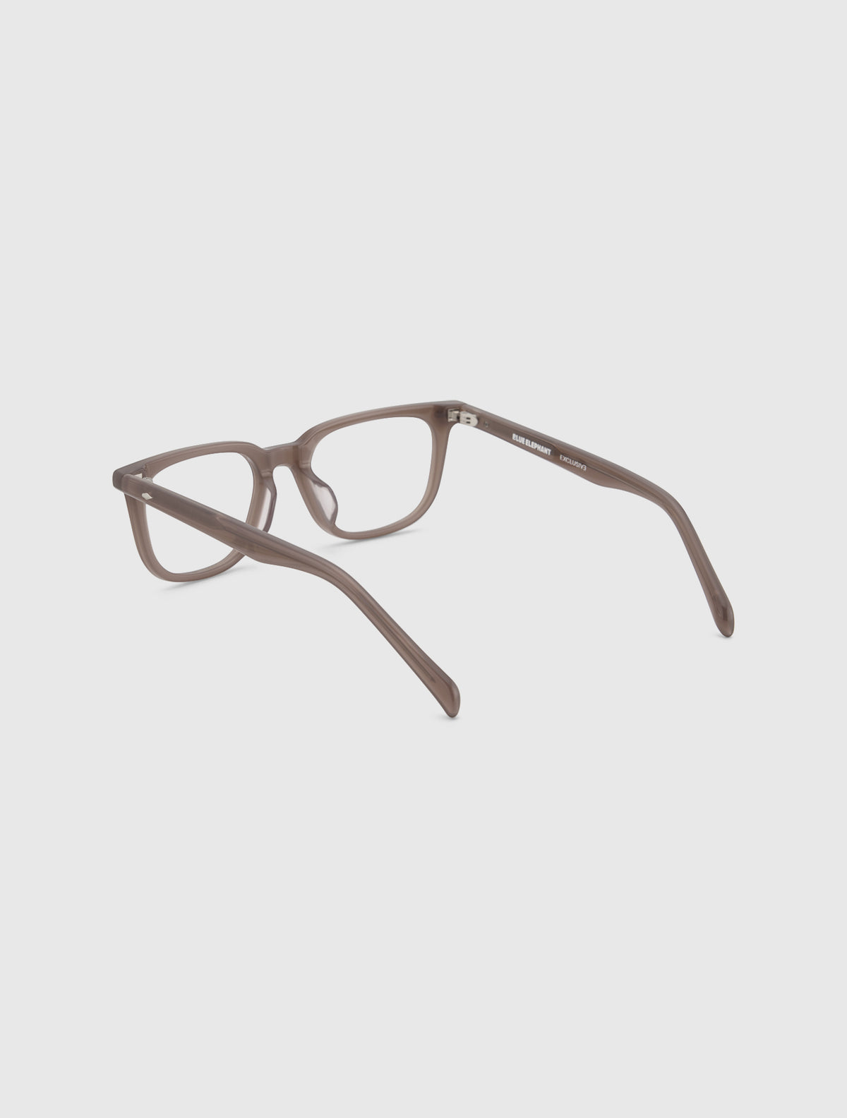 TABBY brown