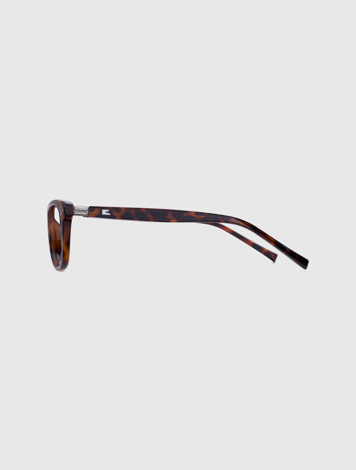 TAKI leopard