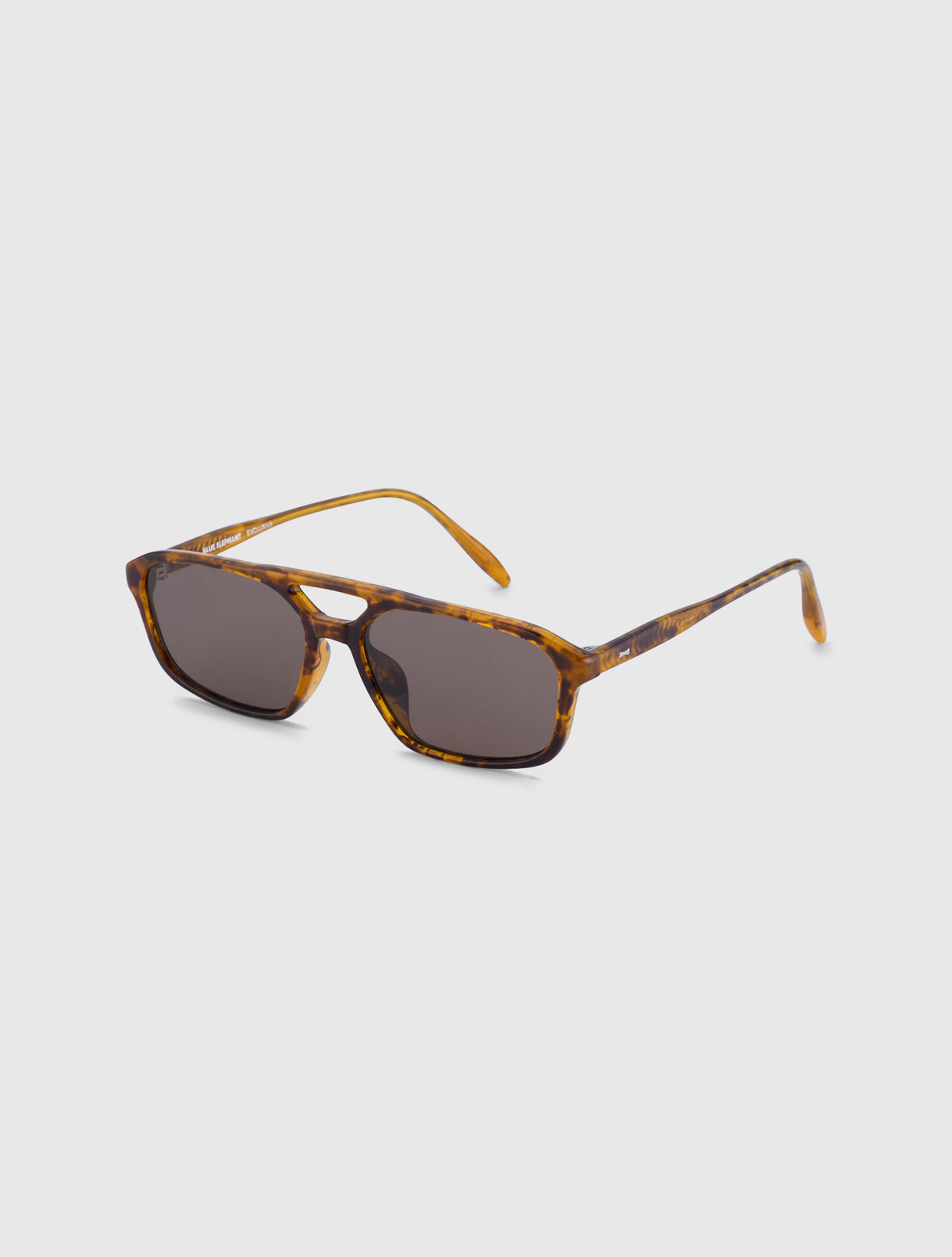 TAO leopard