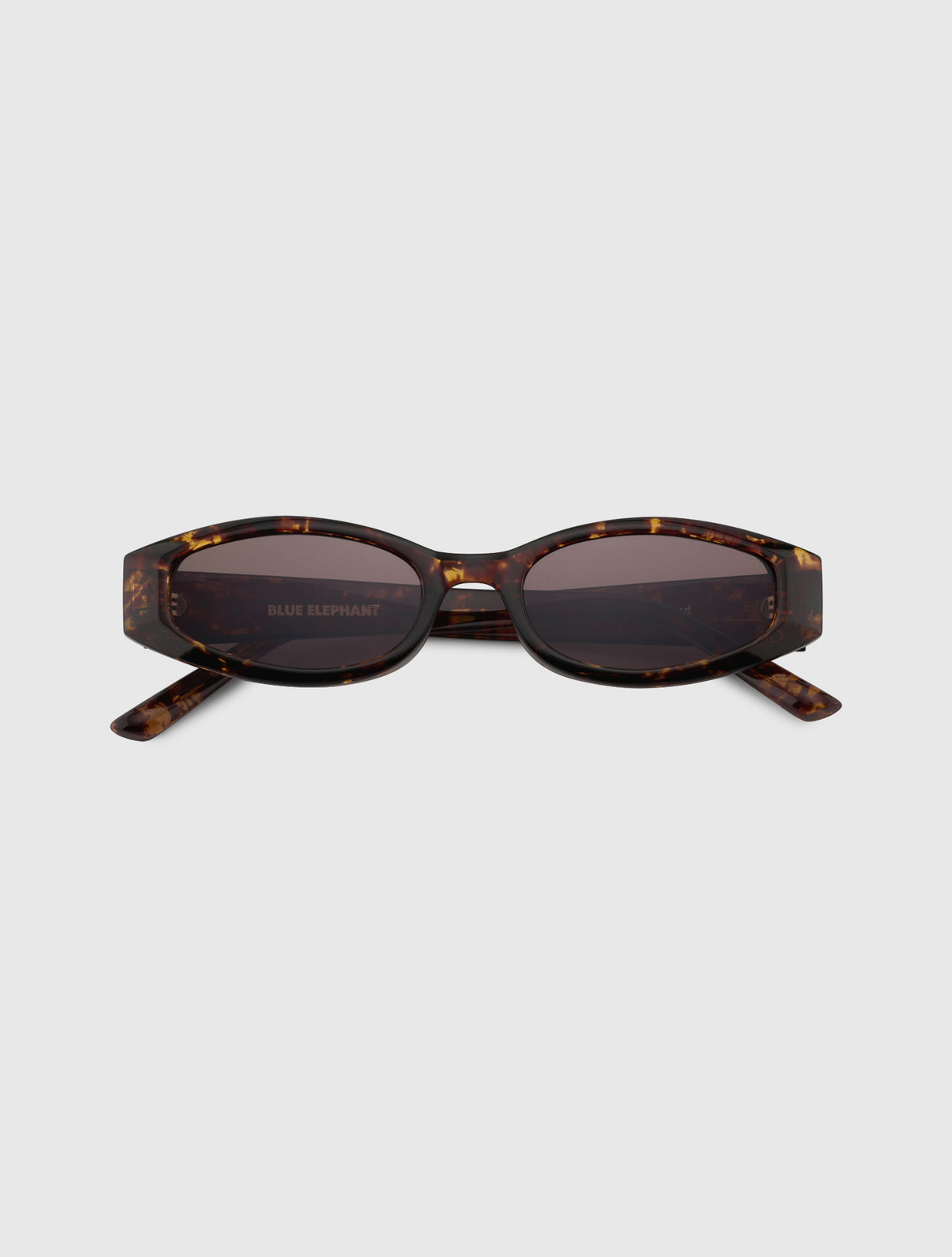 VISS leopard