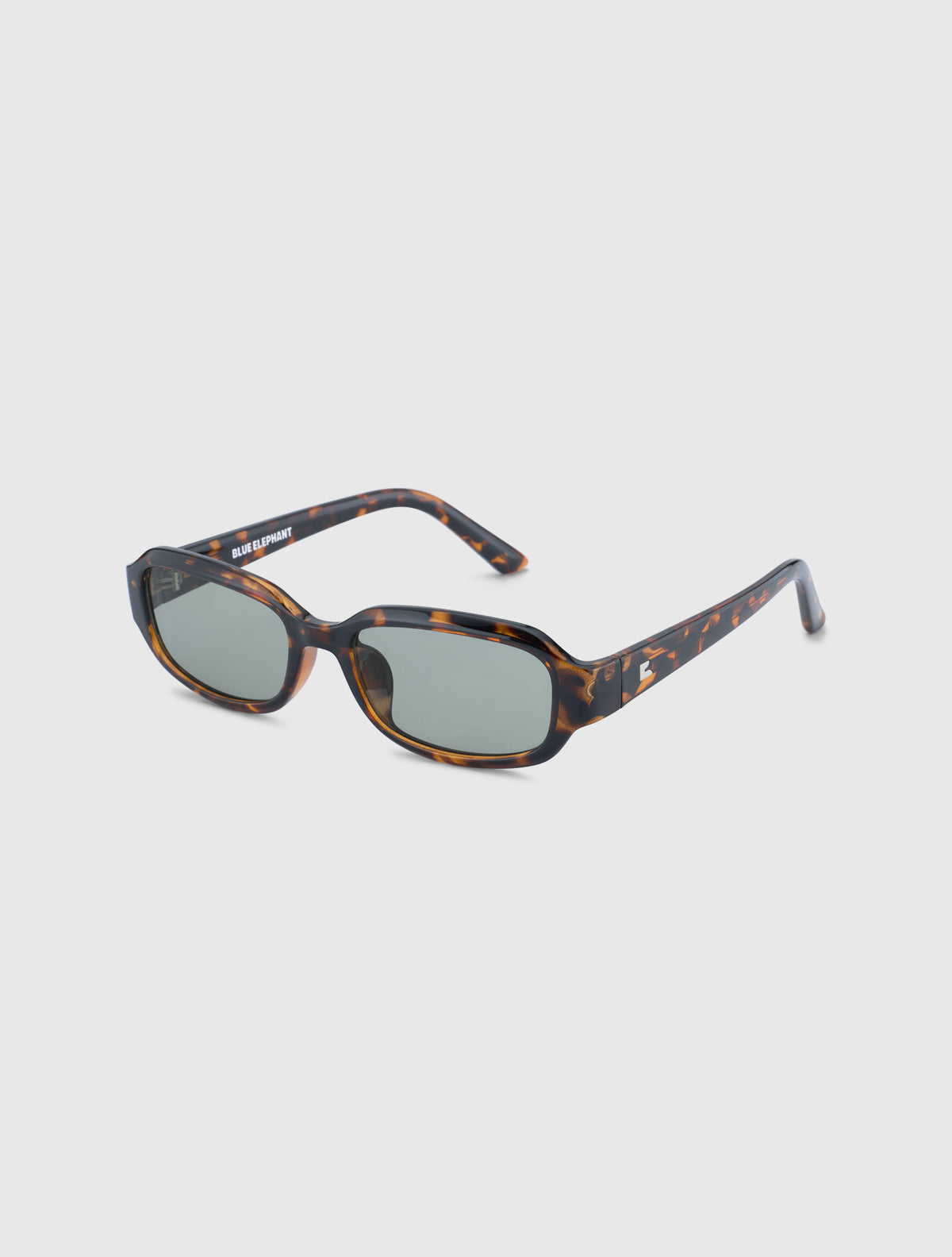 WISH-S leopard