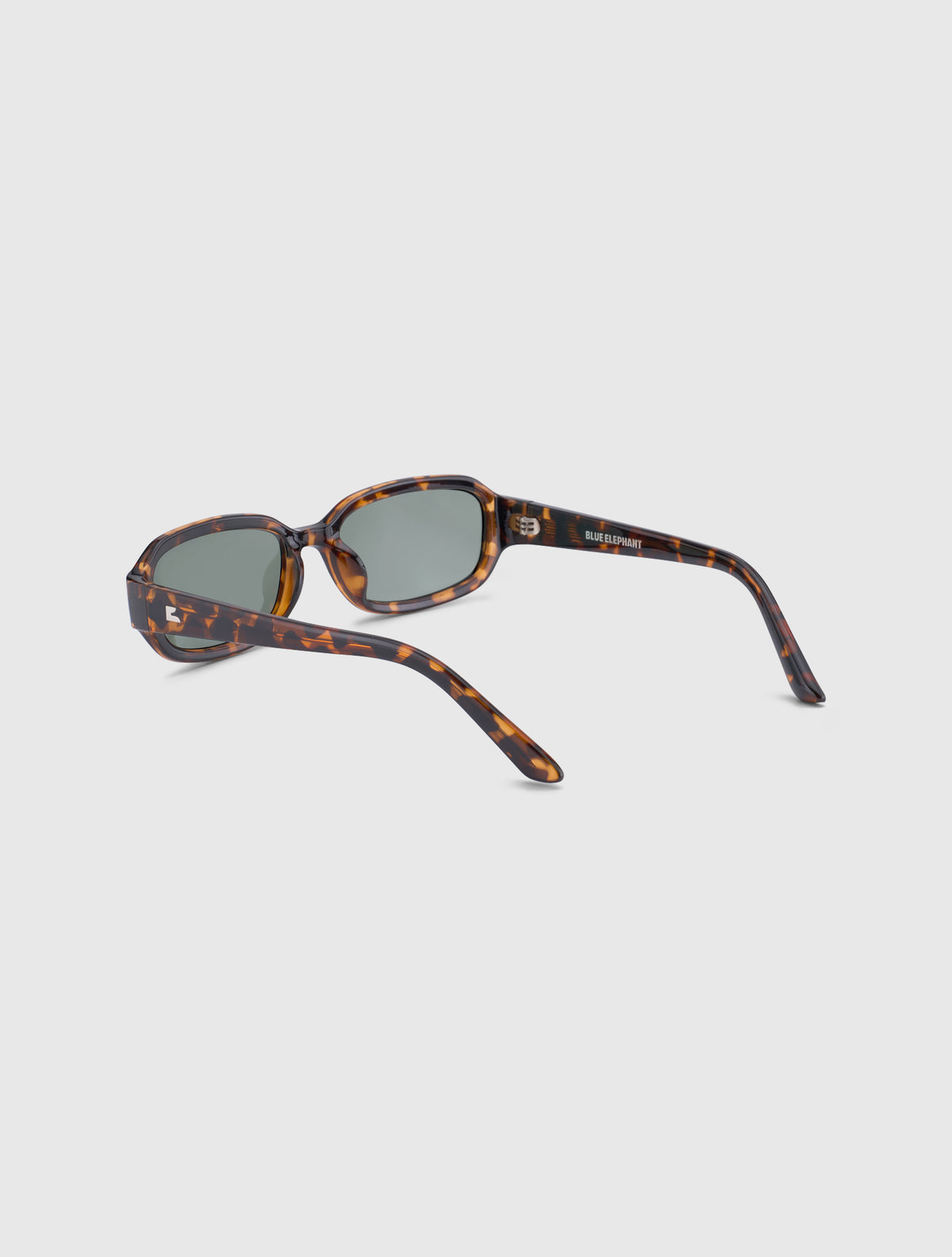 WISH-S leopard