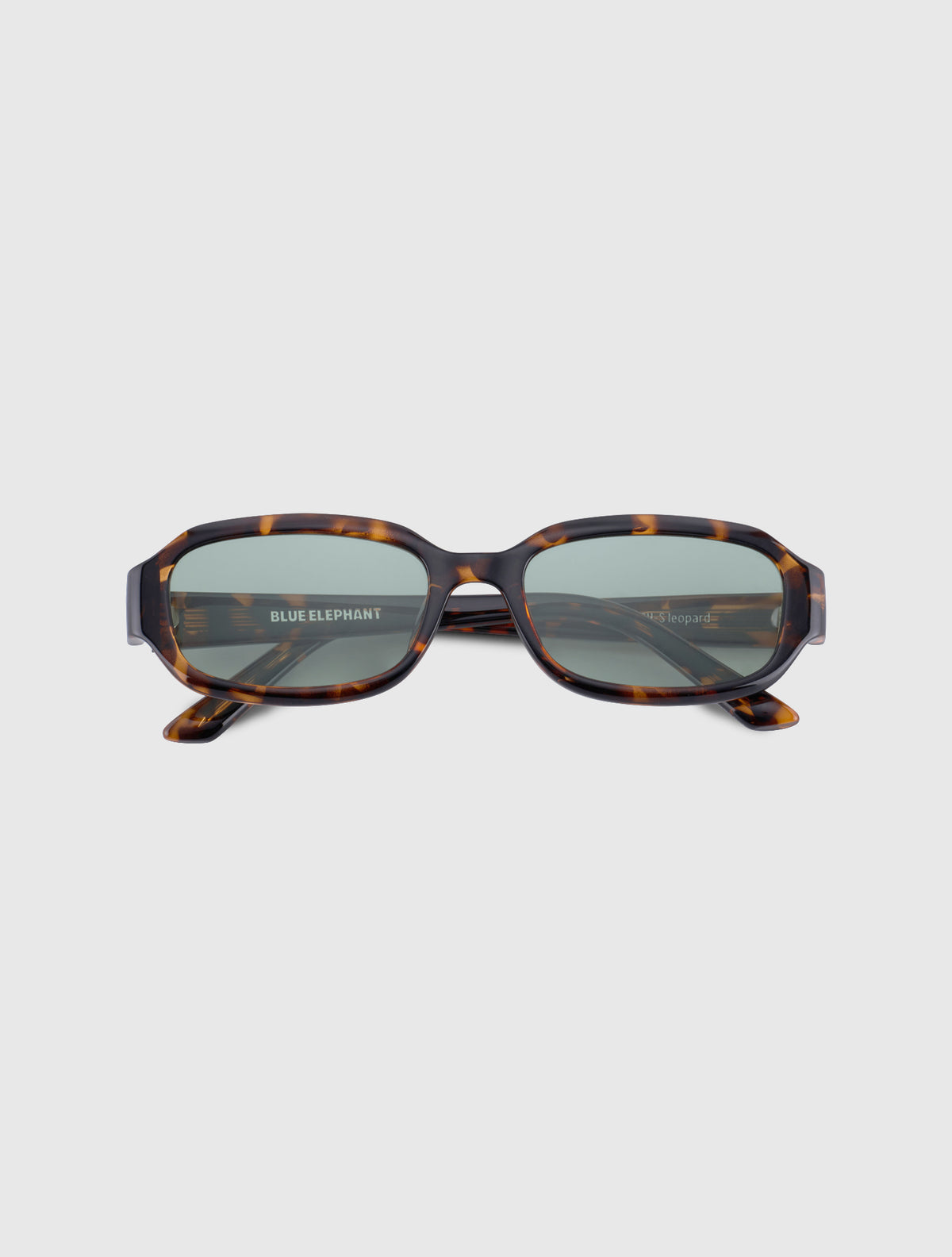 WISH-S leopard