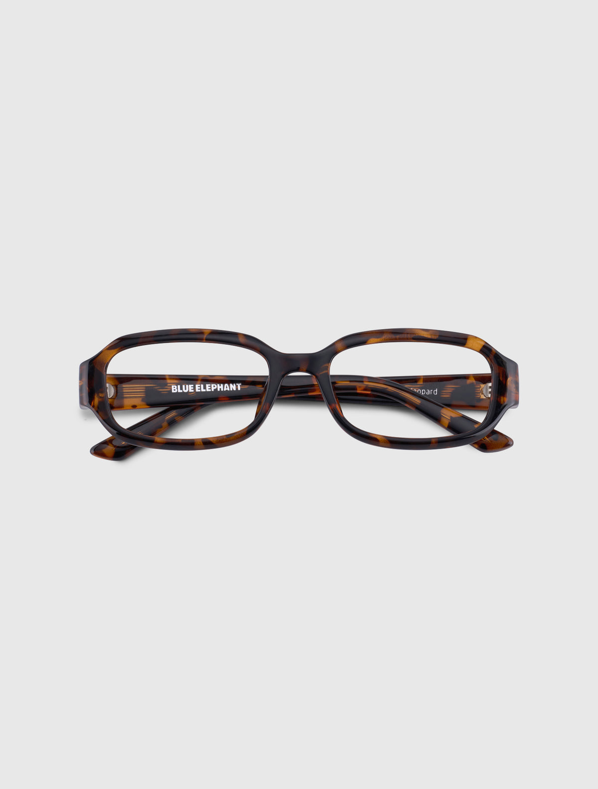 WISH leopard