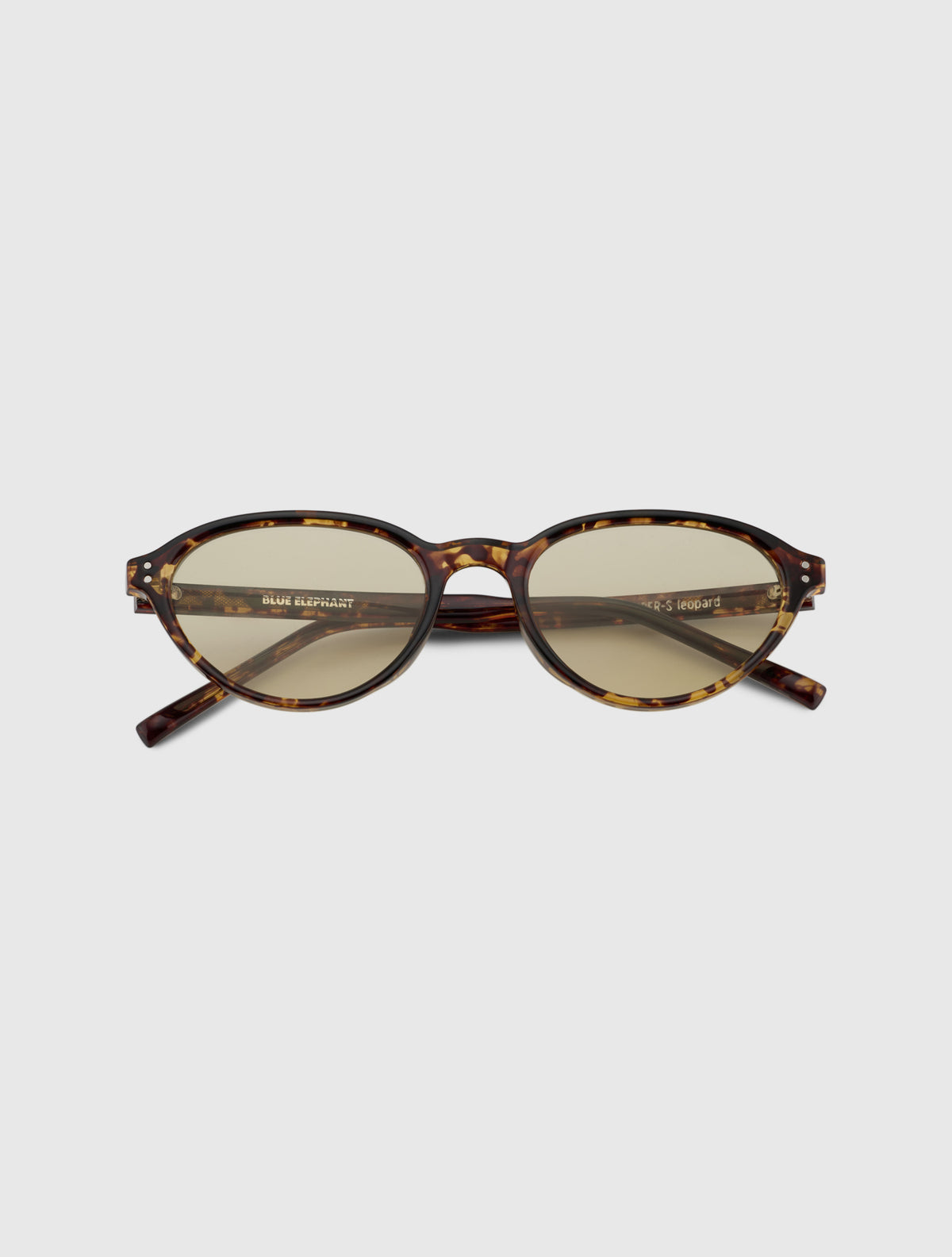 WONDER-S leopard