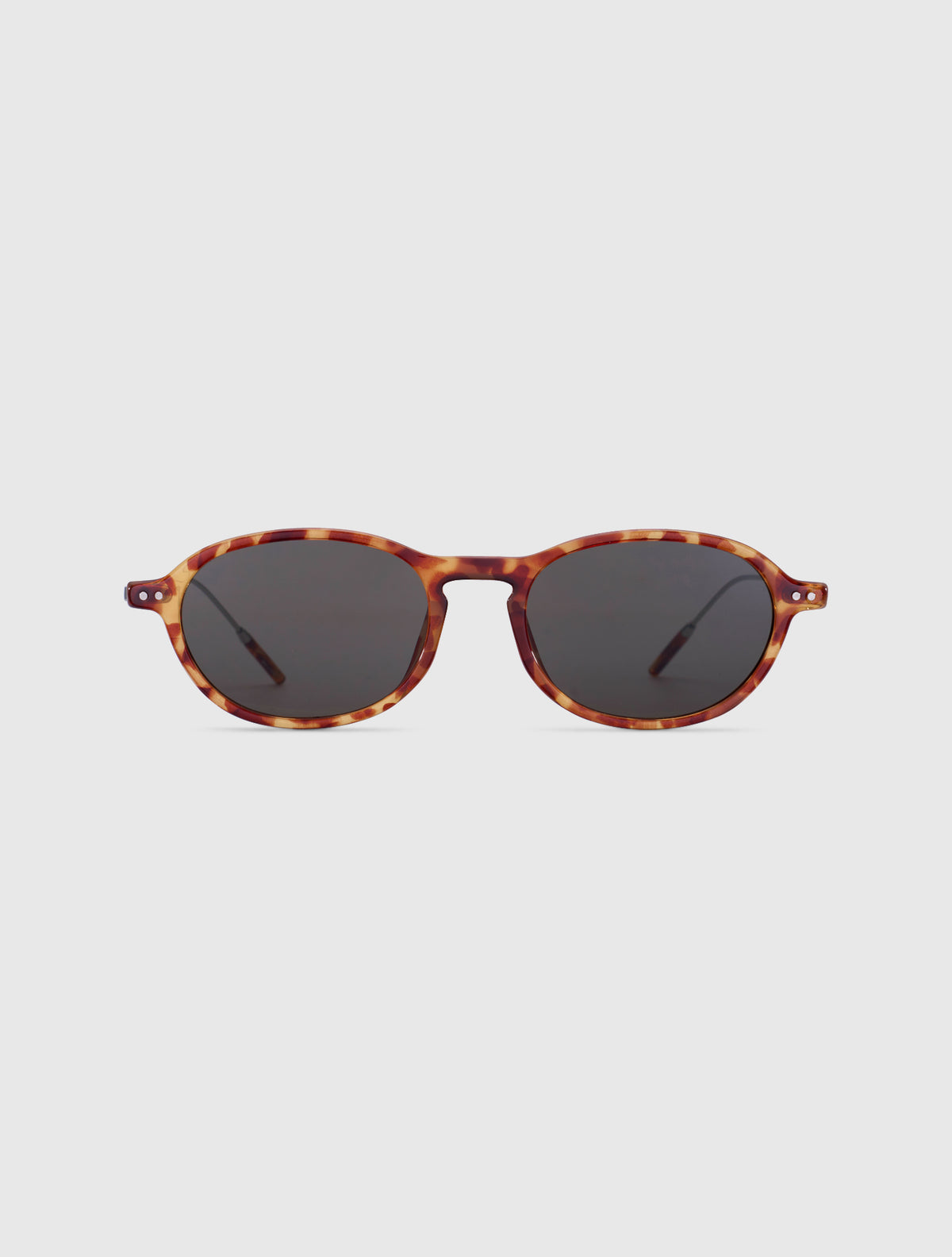 YATTE-S leopard
